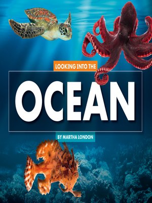 cover image of Looking Into the Ocean